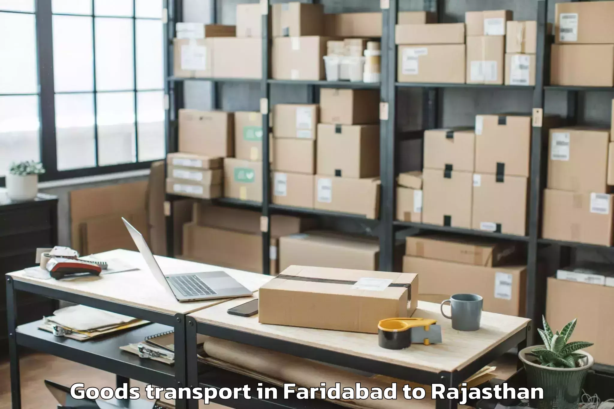 Professional Faridabad to Sanganeer Airport Jai Goods Transport